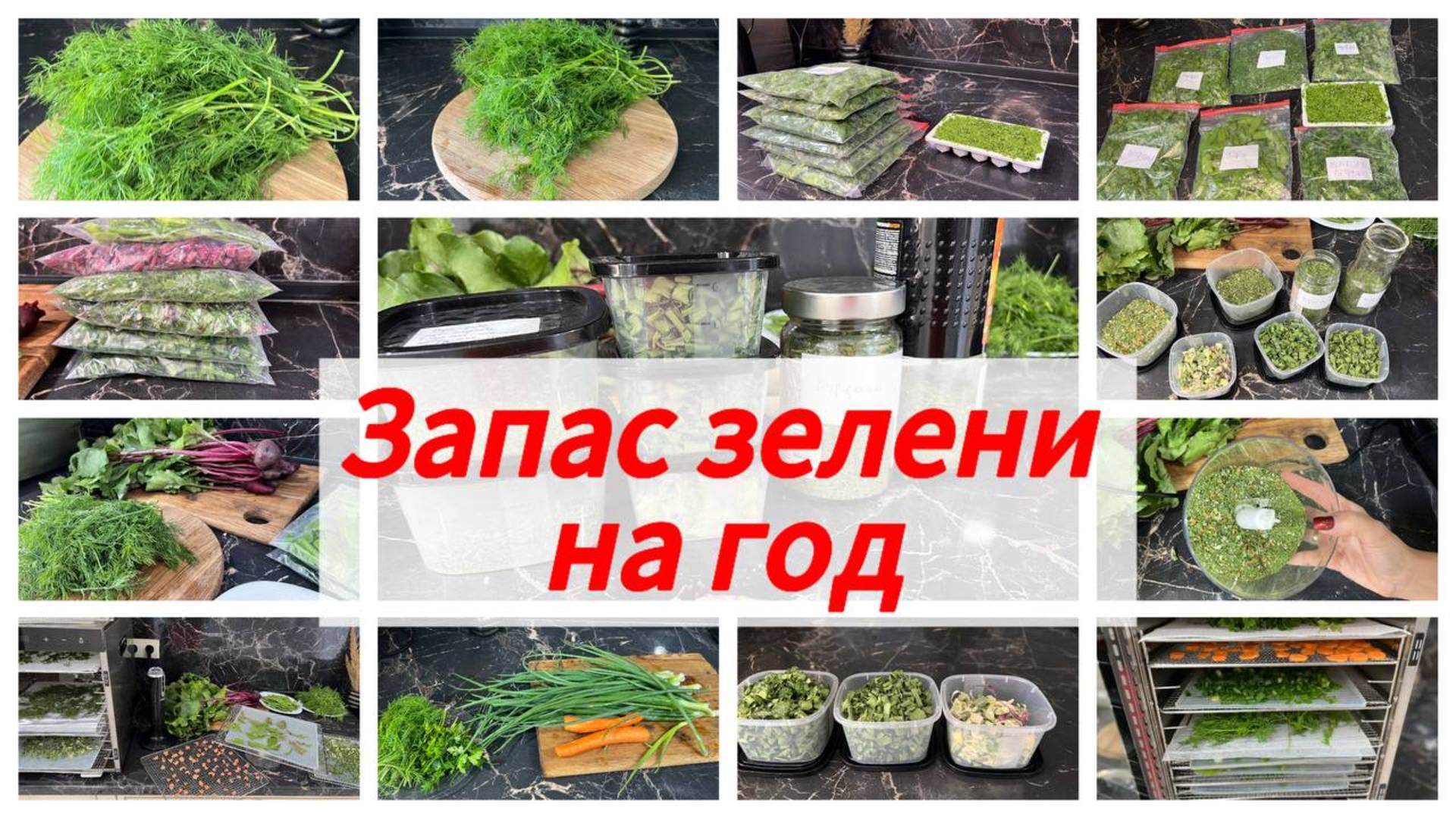 Свежесть круглый год: секреты правильной заморозки и сушки зелени