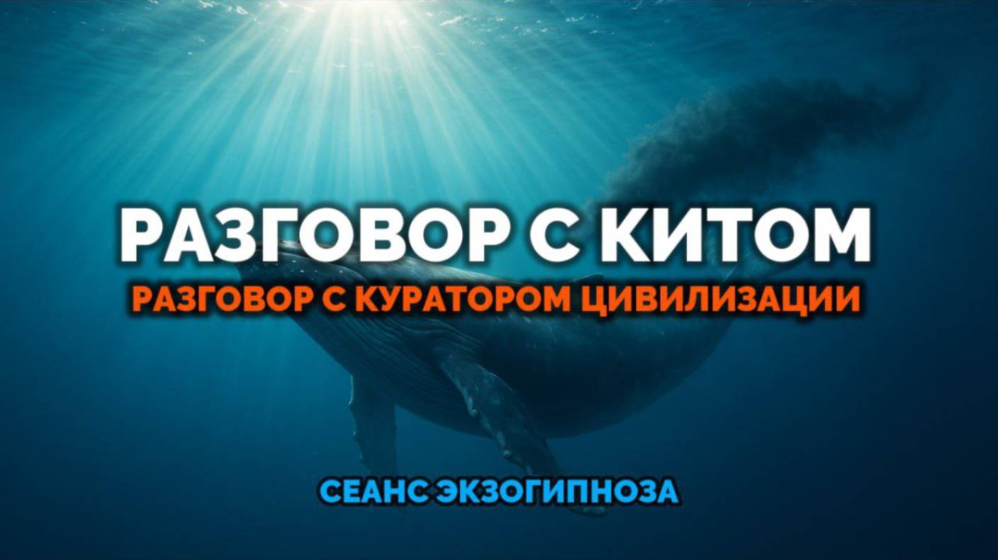 РАЗГОВОР С КИТОМ: РАЗГОВОР С КУРАТОРОМ ЦИВИЛИЗАЦИИ