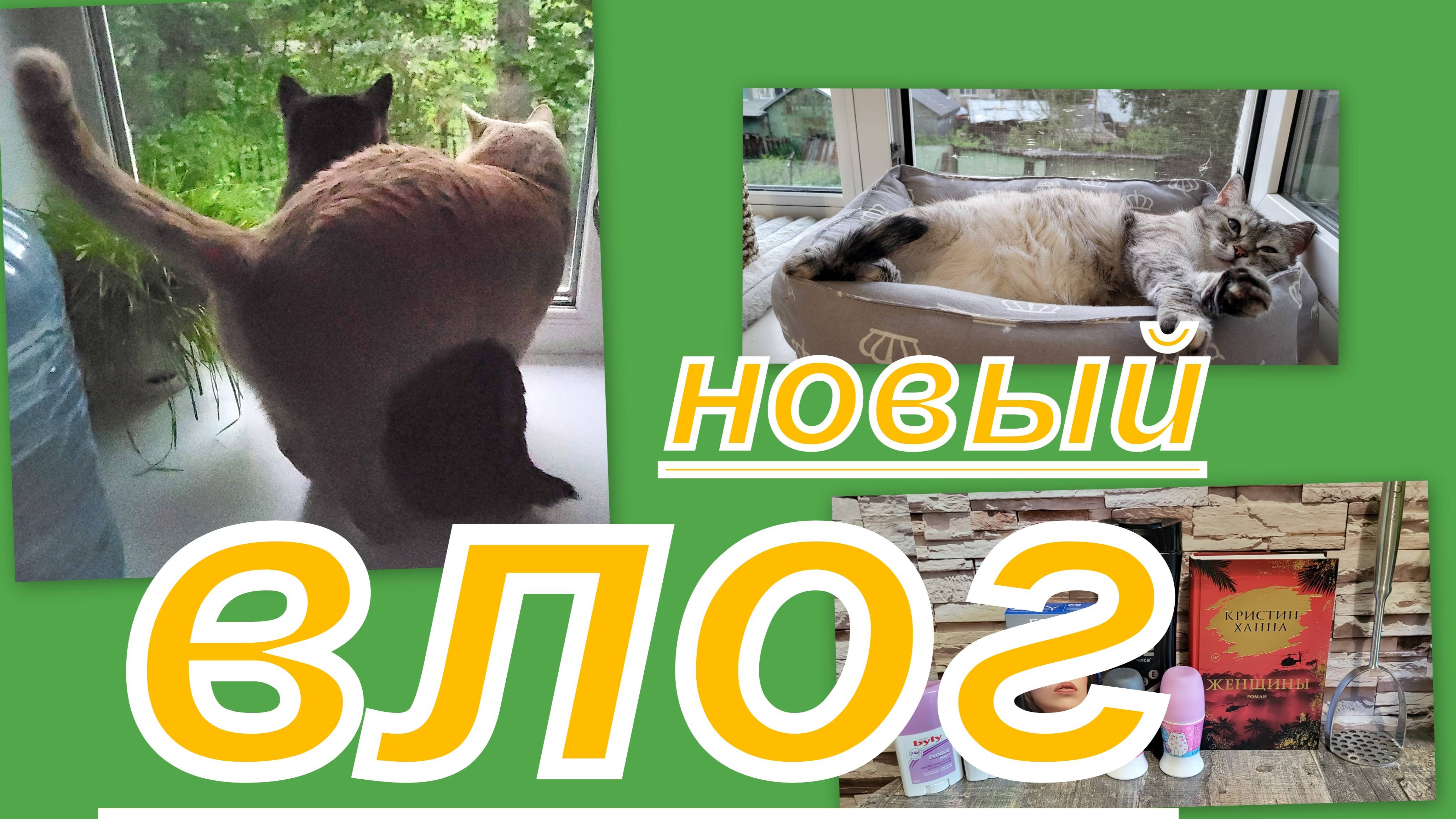 ВЛОГ: КЛАССНЫЕ ПОКУПКИ И ДРУГОЕ))