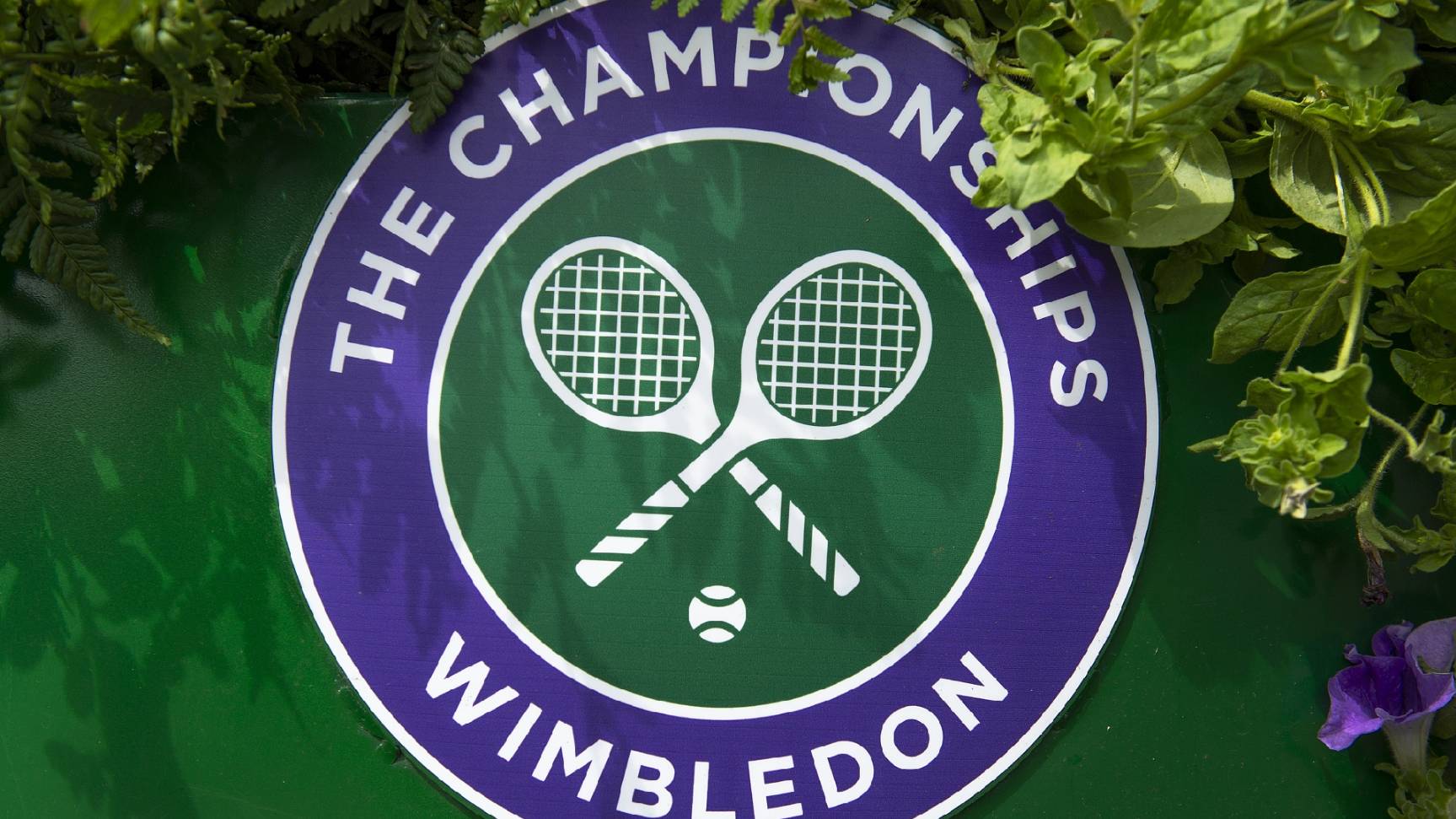 13.07.2025 | Теннис | Уимблдон| Синнер - Алькарас| ФИНАЛ | Wimbledon