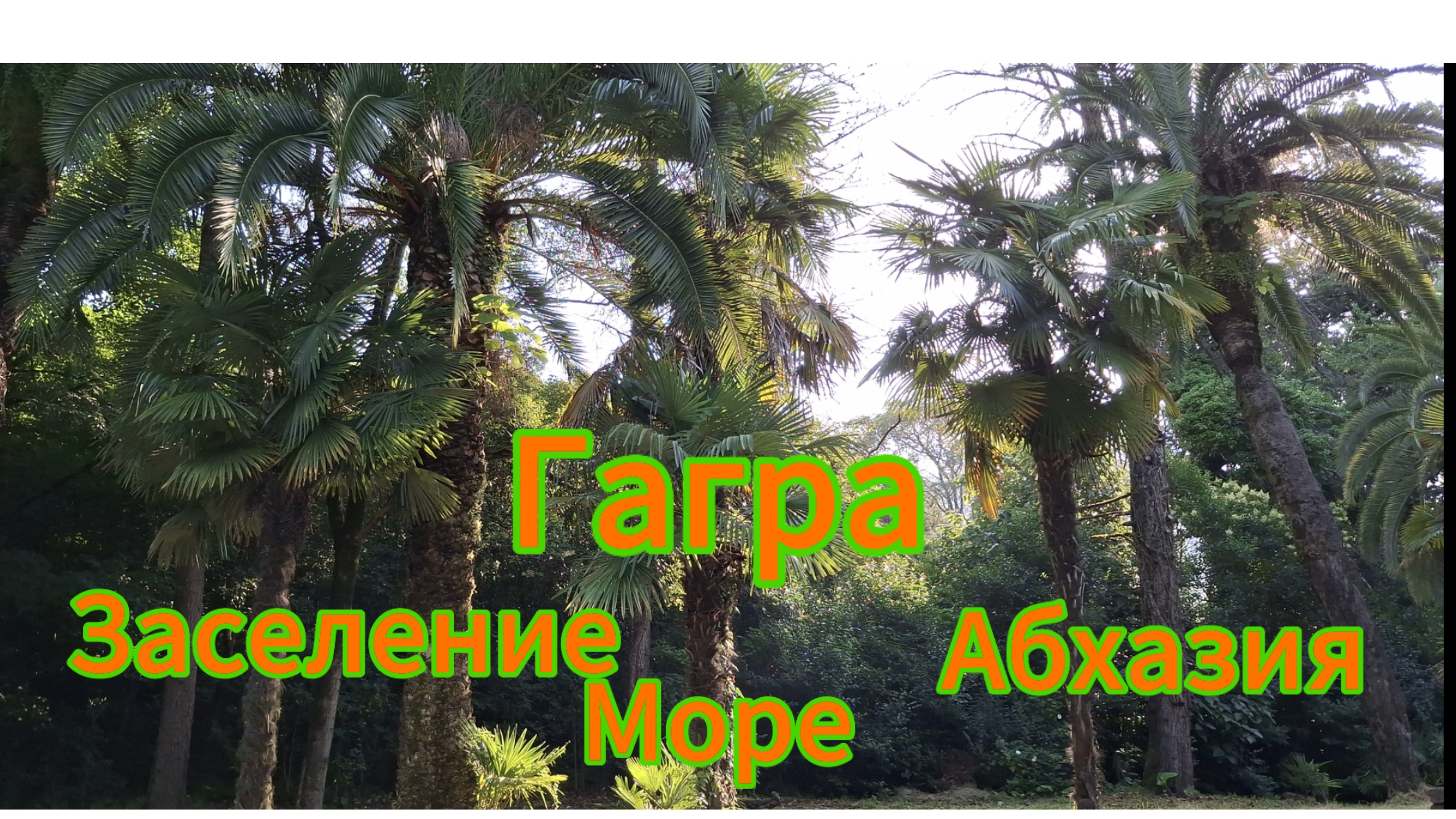 Абхазия. Гагра. Своим ходом.