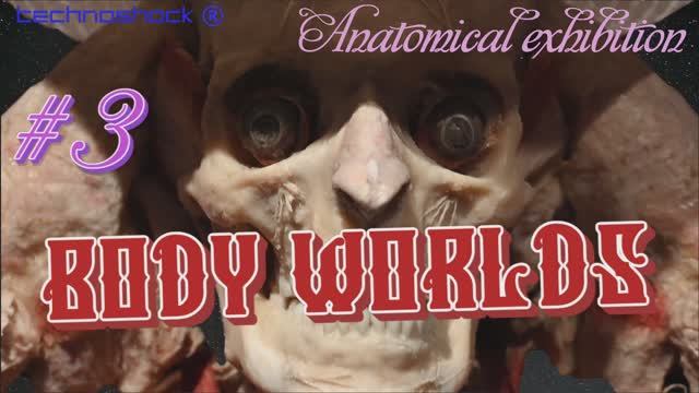 BODY WORLDS. Анатомическая выставка. Часть 3.
