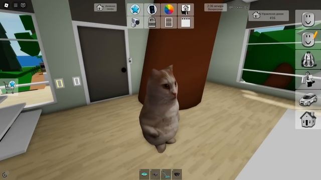 ПОИСК ТАНЦУЮЩЕЙ КРЫСЫ в ROBLOX!