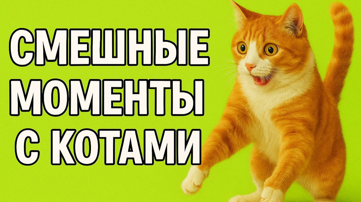 Смех до слёз: лучшие приколы №170