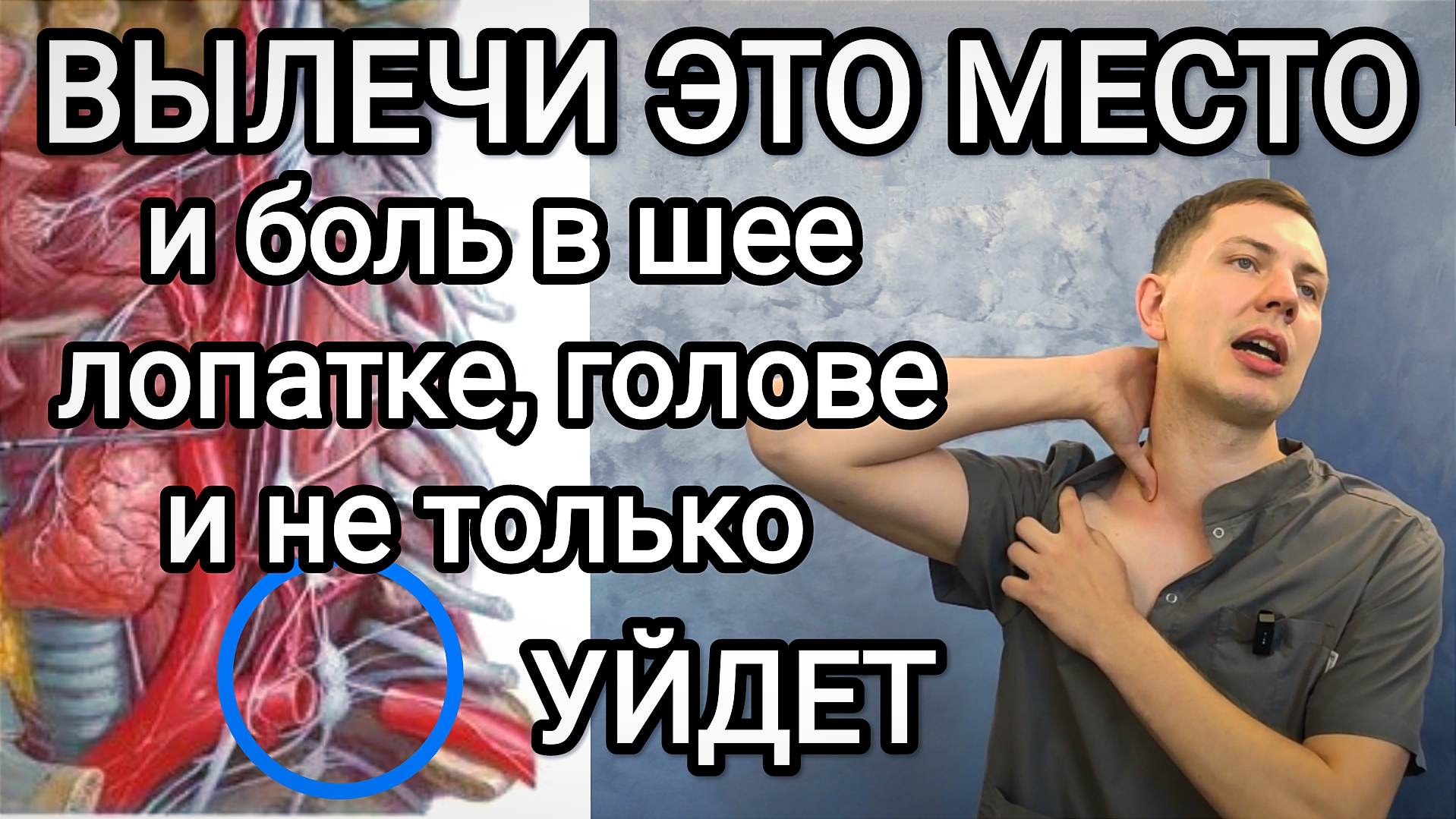 Болит шея, лопатка, голова и не только!? Срочно вылечи это место! 90% проблем оттуда