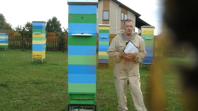 Замена маток у меня на пасеке. Часть 5. Итоги.