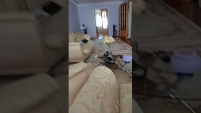 ...........