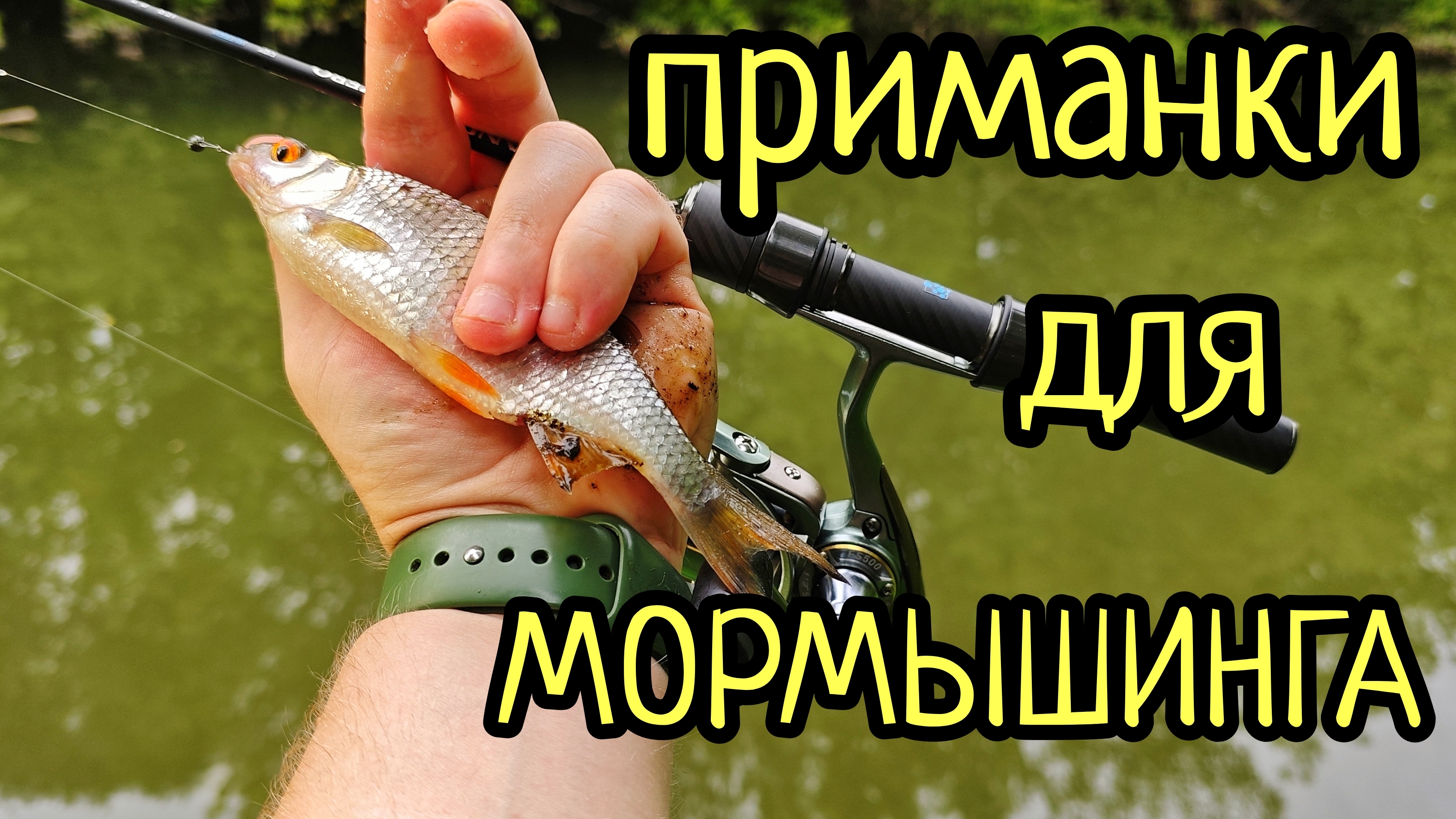 ОЧЕНЬ ТРУДОВОЙ МОРМЫШИНГ !!! CURIOUS FISH , ПРИМАНКИ ДЛЯ МОРМЫШИНГА И НАНО ДЖИГА !!!
