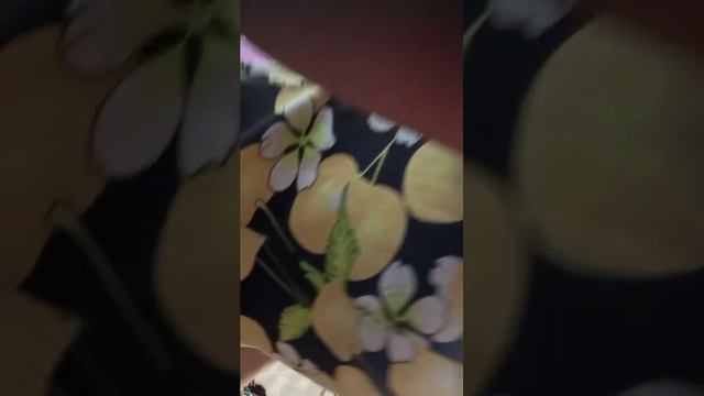 моё др
