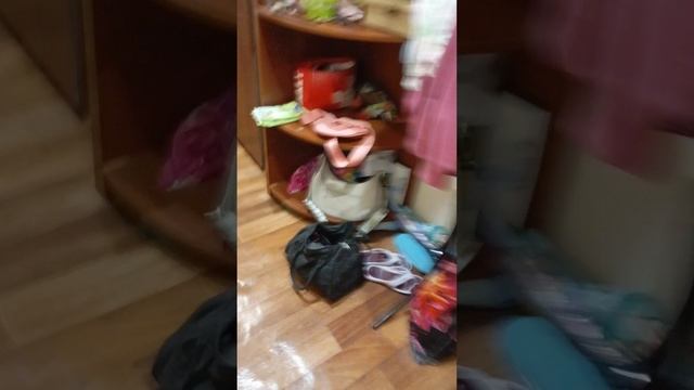 скоро море?!
