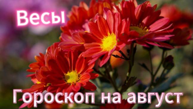 Весы! Гороскоп на август 2025 года!