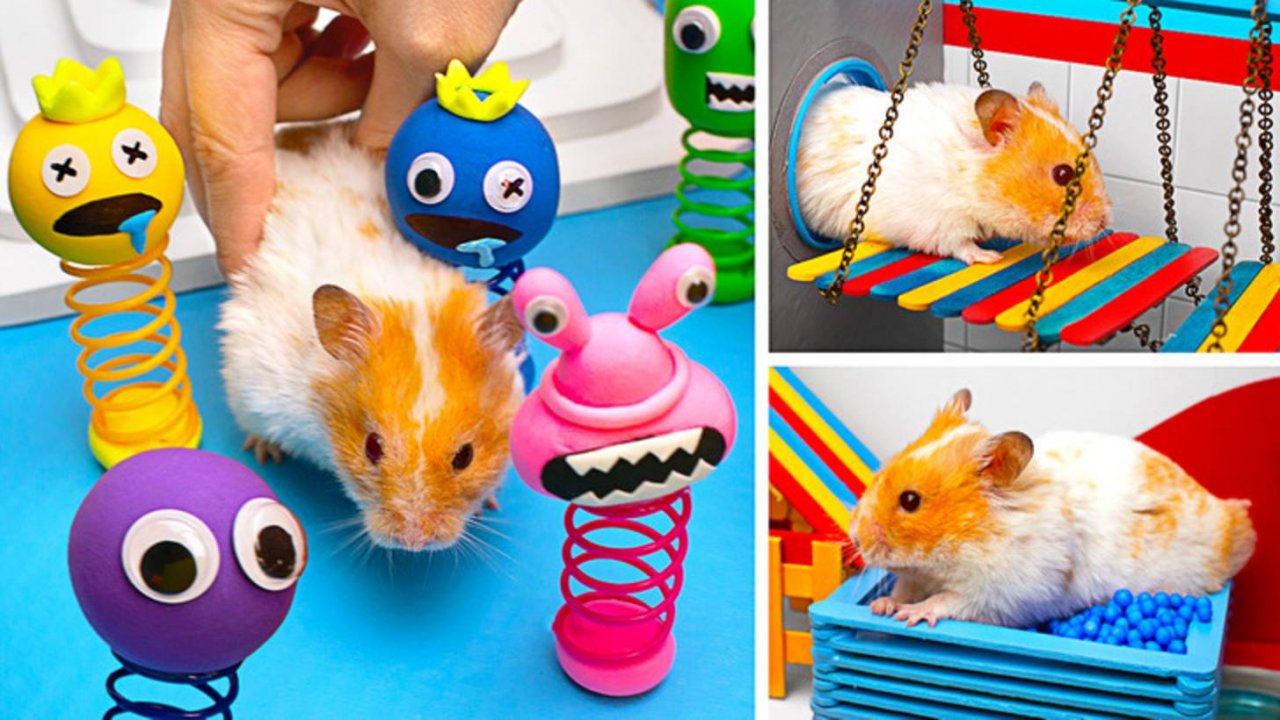 🐹 Лабиринт для хомяка в стиле Радужных Друзей 🌈 супер DIY!