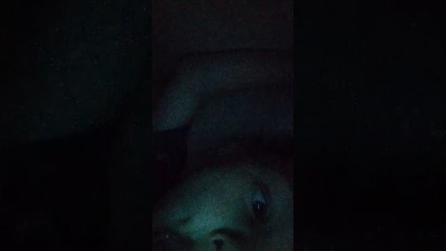 д