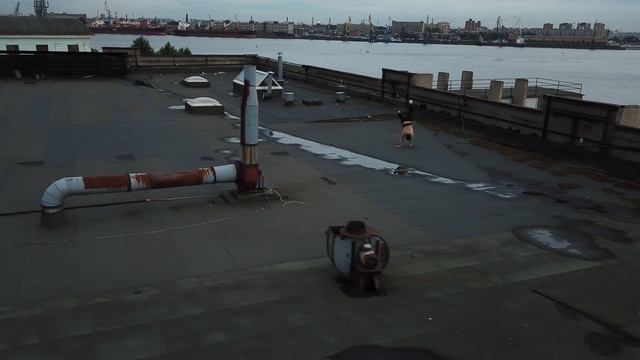 2791796-uhd_3840_2160_24fps