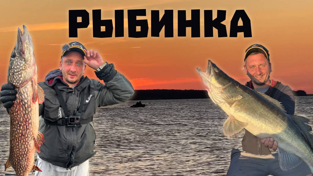 Синец на фидер. Копченный берш. Уха из щуки. Лучшая рыбалка!