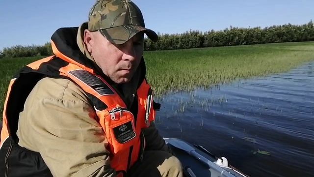 31 июля 2025г. Рыбалка на спиннинг.