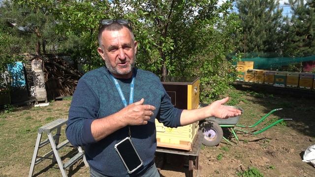 Веялка для пыльцы и Австралийские рамки