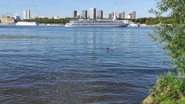 Ксюша купается одна - 03.08.2025