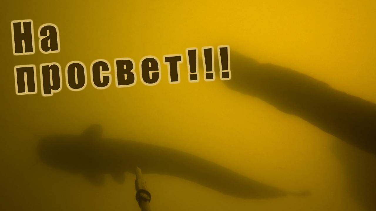 ПОИСК УТОПЛЕННОГО МОТОРА!!! СТАИ СУДАКА И СОМ НА ПРОСВЕТ!!!