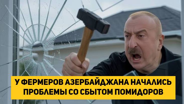 у фермеров Азербайджана начались проблемы со сбытом помидоров