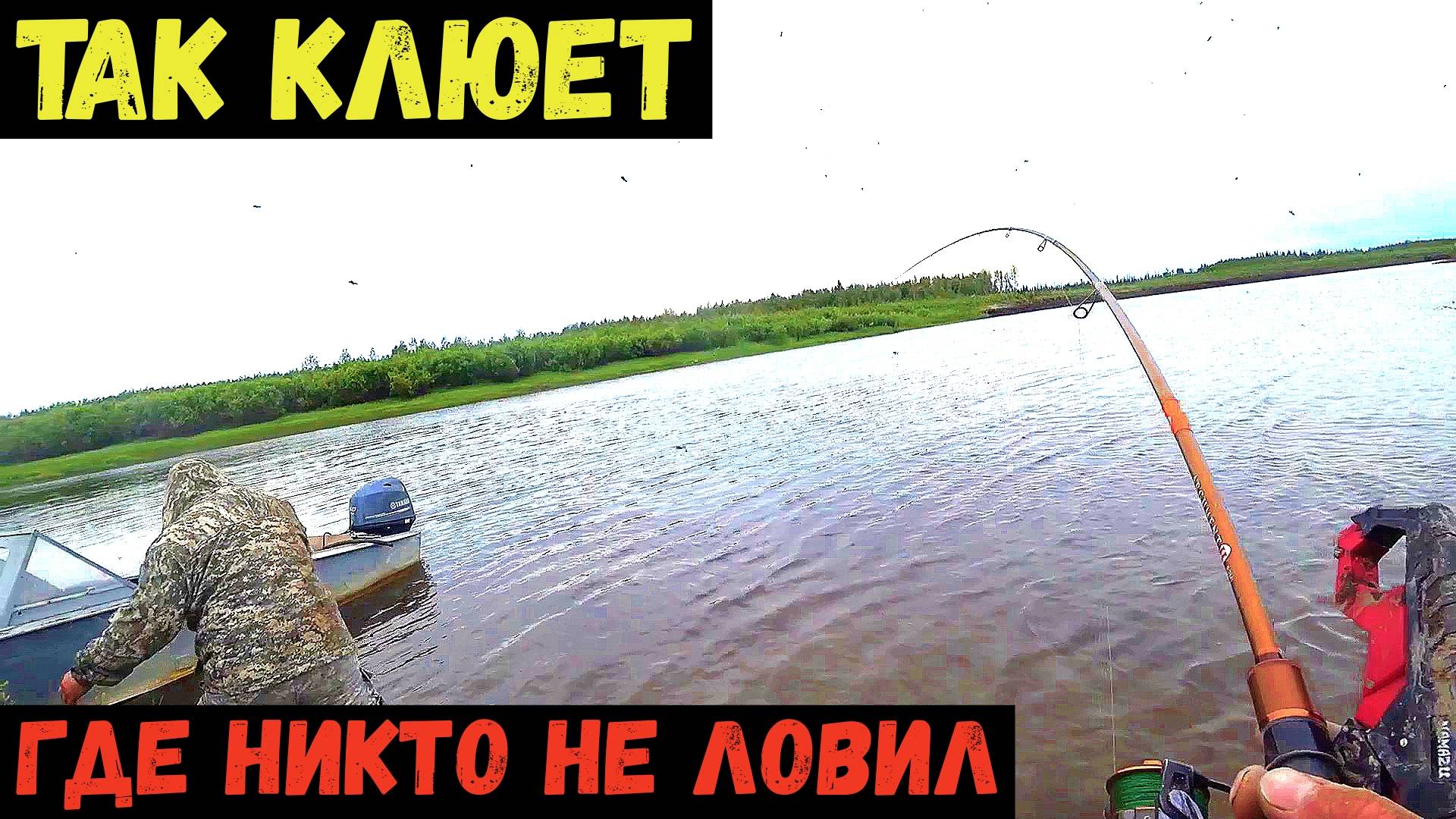 ТАК КЛЮЕТ ТОЛЬКО ТАМ ГДЕ НИКТО НЕ ЛОВИТ.