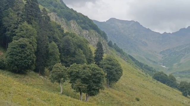 Абхазия 2025 🌴Альпийские луга август