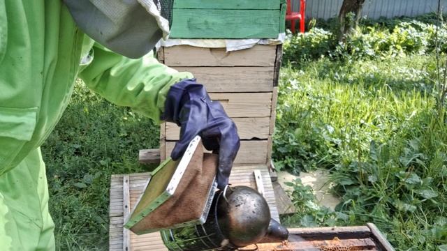 Что стало с однорамочным отводком от 23 апреля.