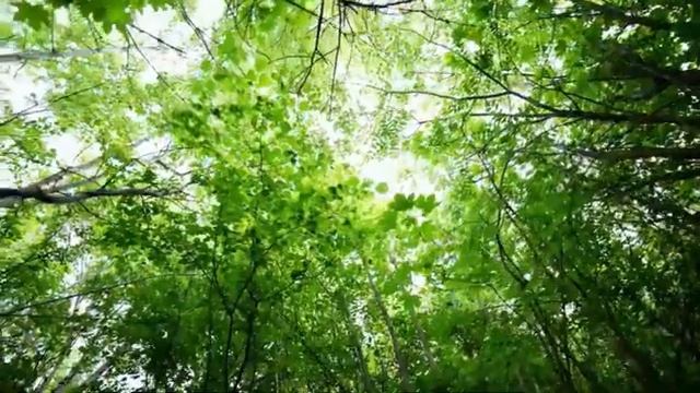 ИНСУЛЬТ*Сеанс, который Запускает Восстановление Речи и Движения*Оздоровление Головы от Инсульта