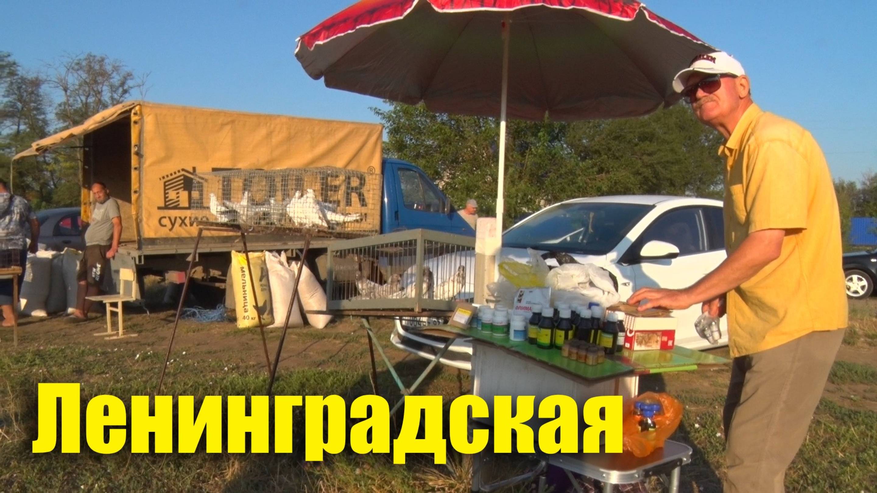 Птичий рынок. Ленинградская. [10.08.2025]
