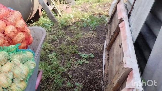 10.08.2025.купили мед/обрезали чеснок /как живут в русской деревне.