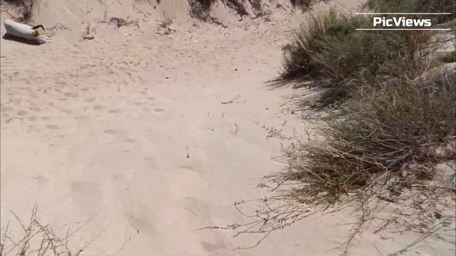 Анапа пляж Благовещенская сегодня 11 августа 2025. Море и погода в Анапе сейчас. Обстановка на пляже