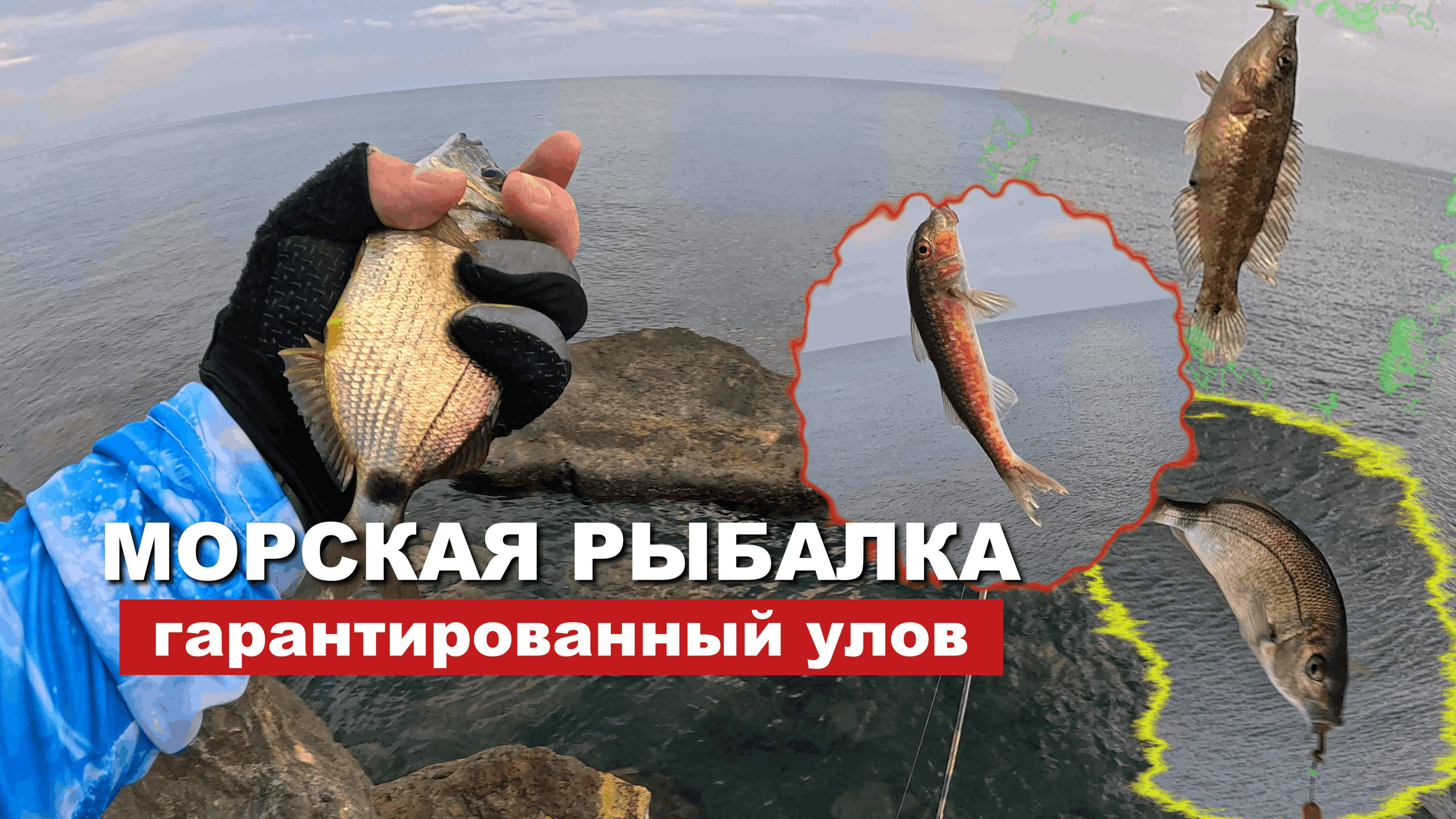 Как гарантировано поймать рыбу на море. Что нужно иметь для рыбалки на море.
