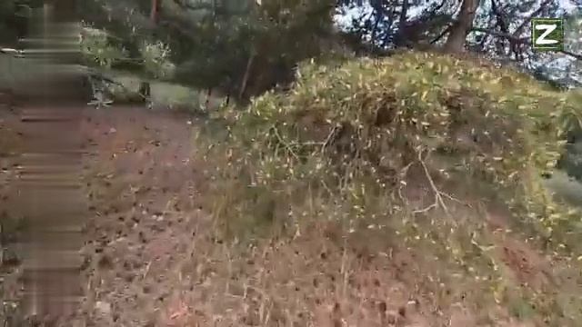 СВО ВСУ та сторона Войны