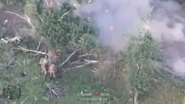 Внимание! 18+ В районе н.п. Новониколаевка была обнаружена группа бандеровцев, двигавшихся в ст...