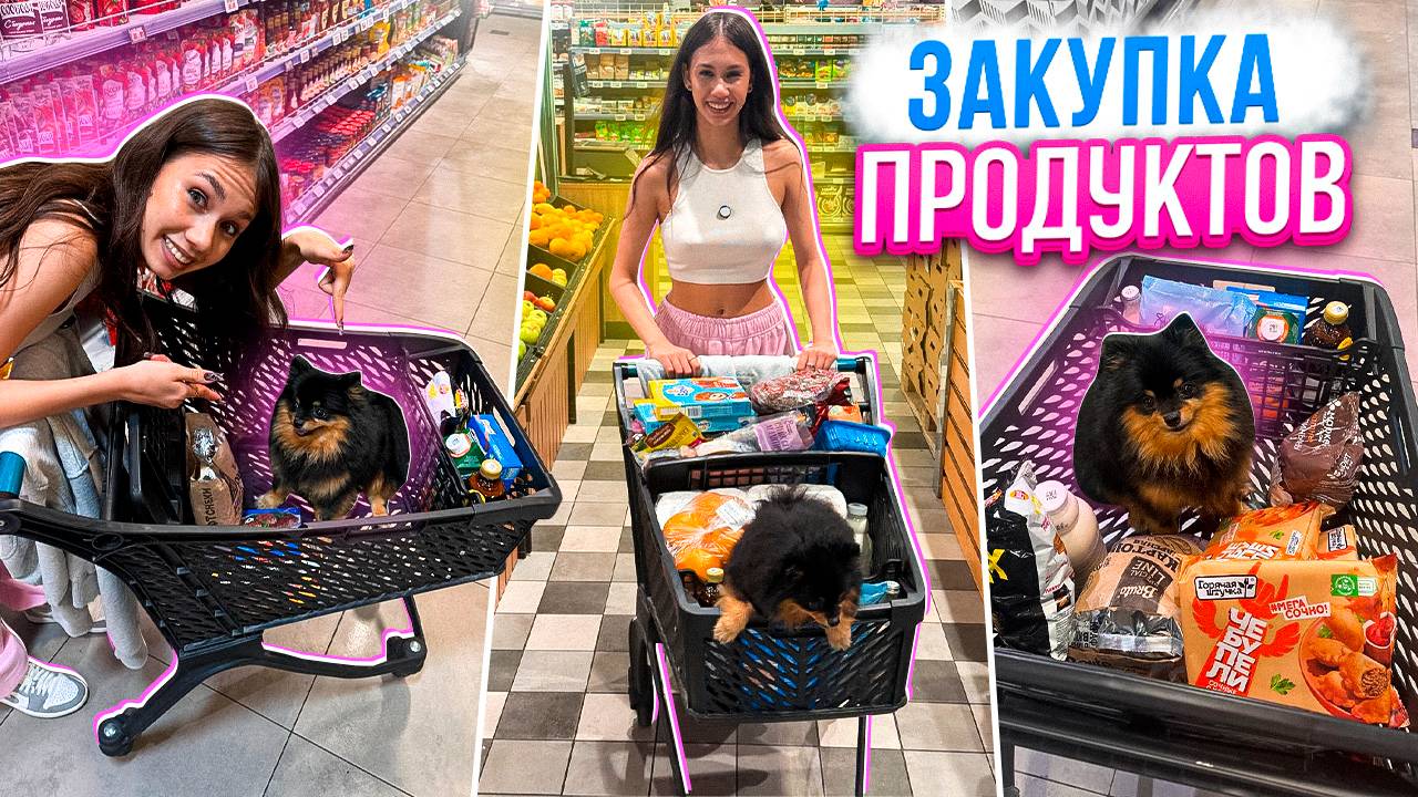 Ночная ЗАКУПКА ПРОДУКТОВ с СОБАКОЙ😋