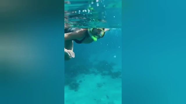 маленькие видео