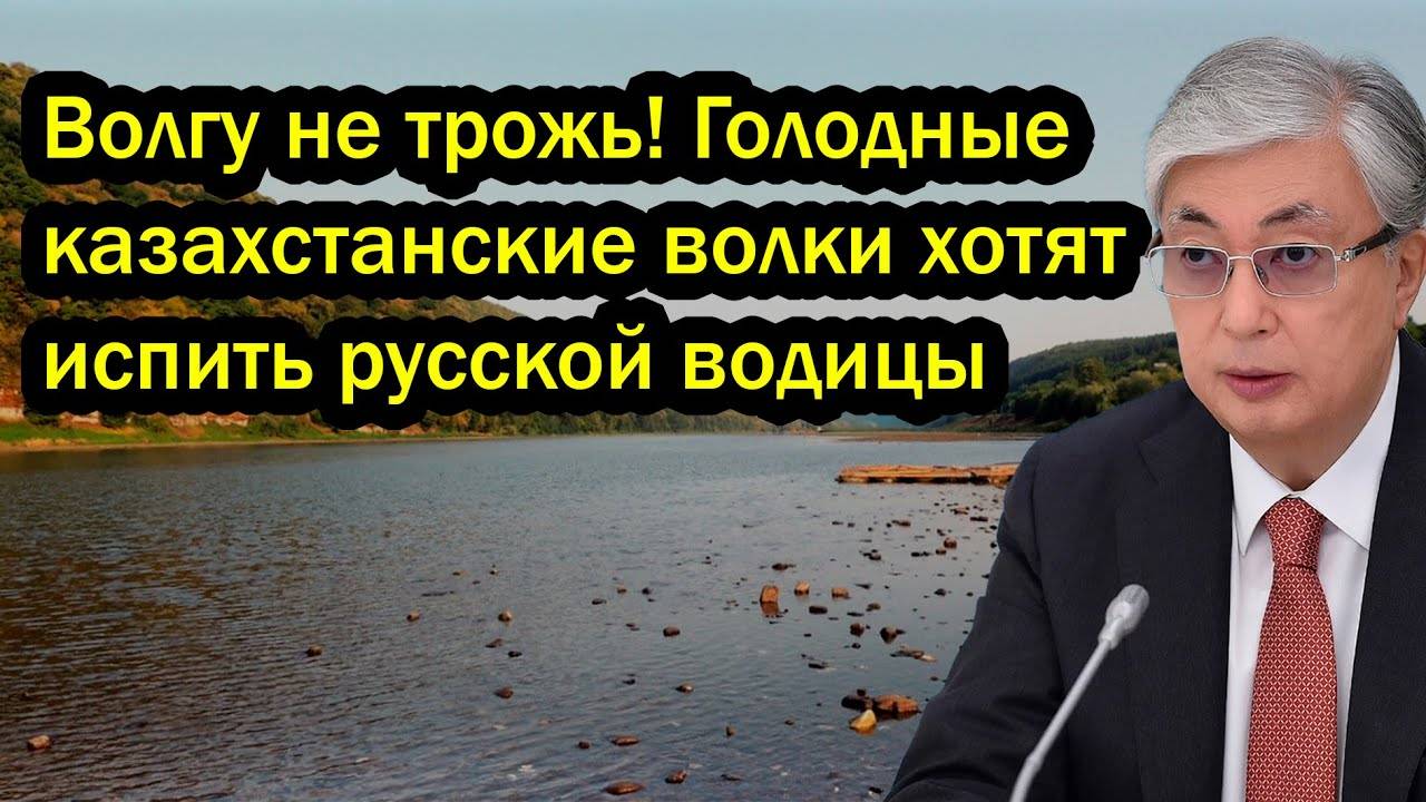 Волгу не трожь! Голодные казахстанские волки хотят испить русской водицы