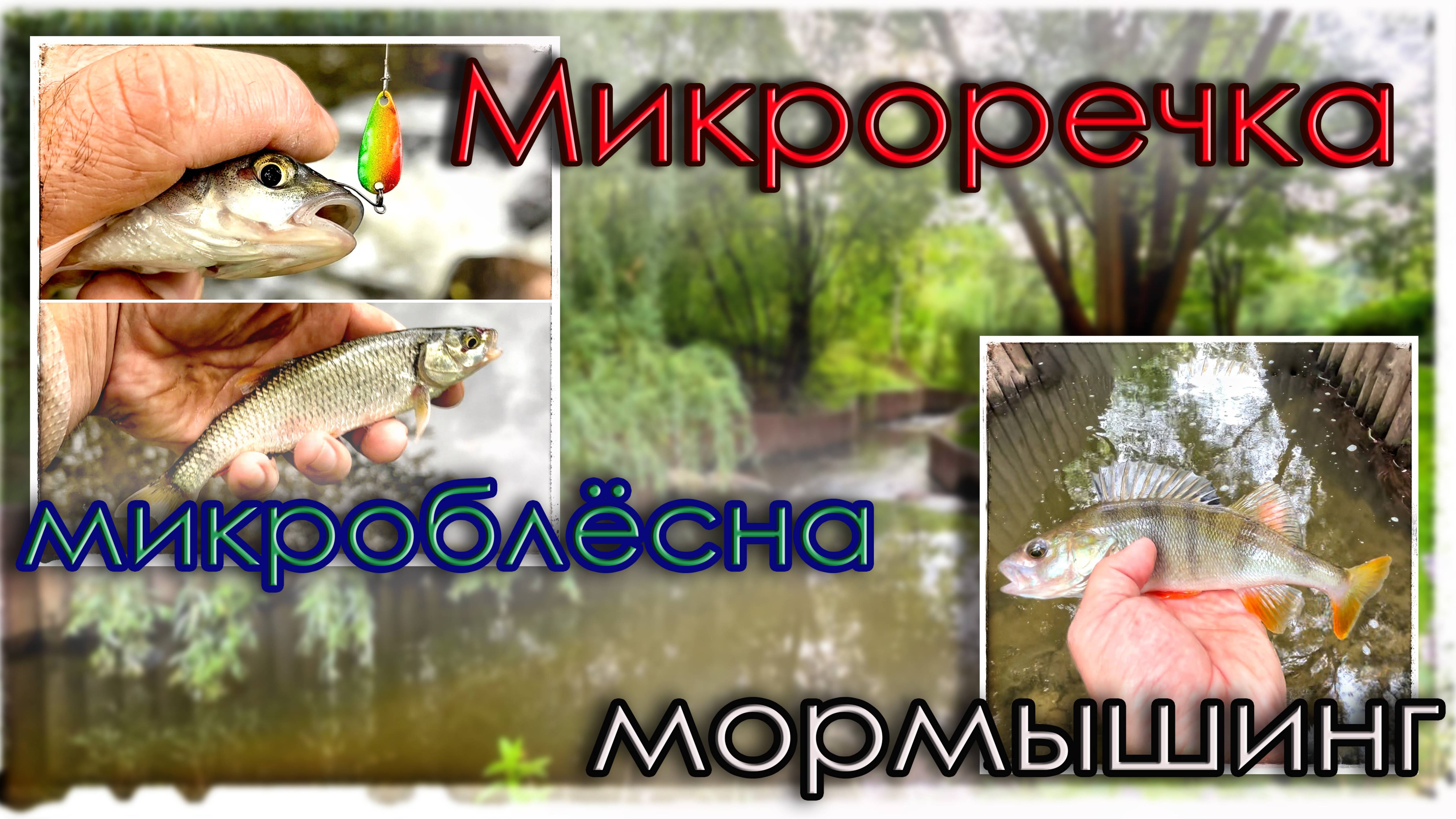 Микроречка. Пробую микроблёсны и Мормышинг.