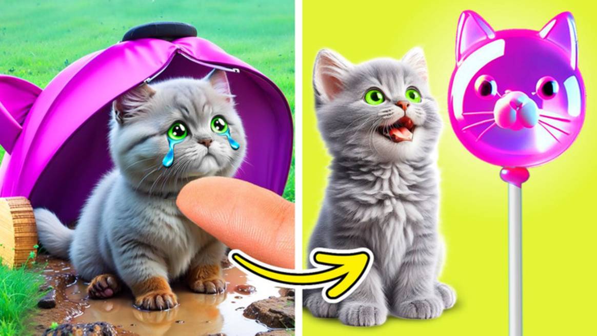 😿 Пожалуйста, не плачь, котёнок! 🐾 Лайфхаки и гаджеты для питомцев ✨