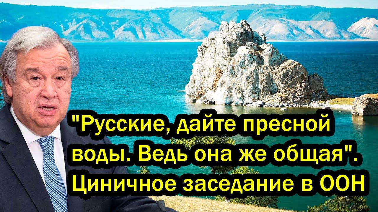 "Русские, дайте пресной воды. Ведь она же общая". Циничное заседание в ООН