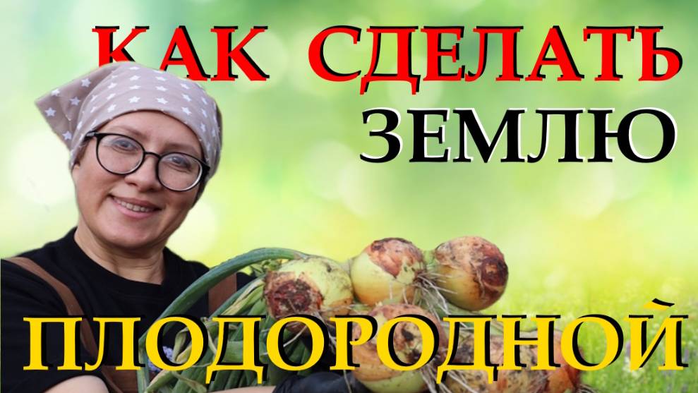 Когда и как убирать репчатый лук с грядки чтобы хорошо и дольше хранился зимой