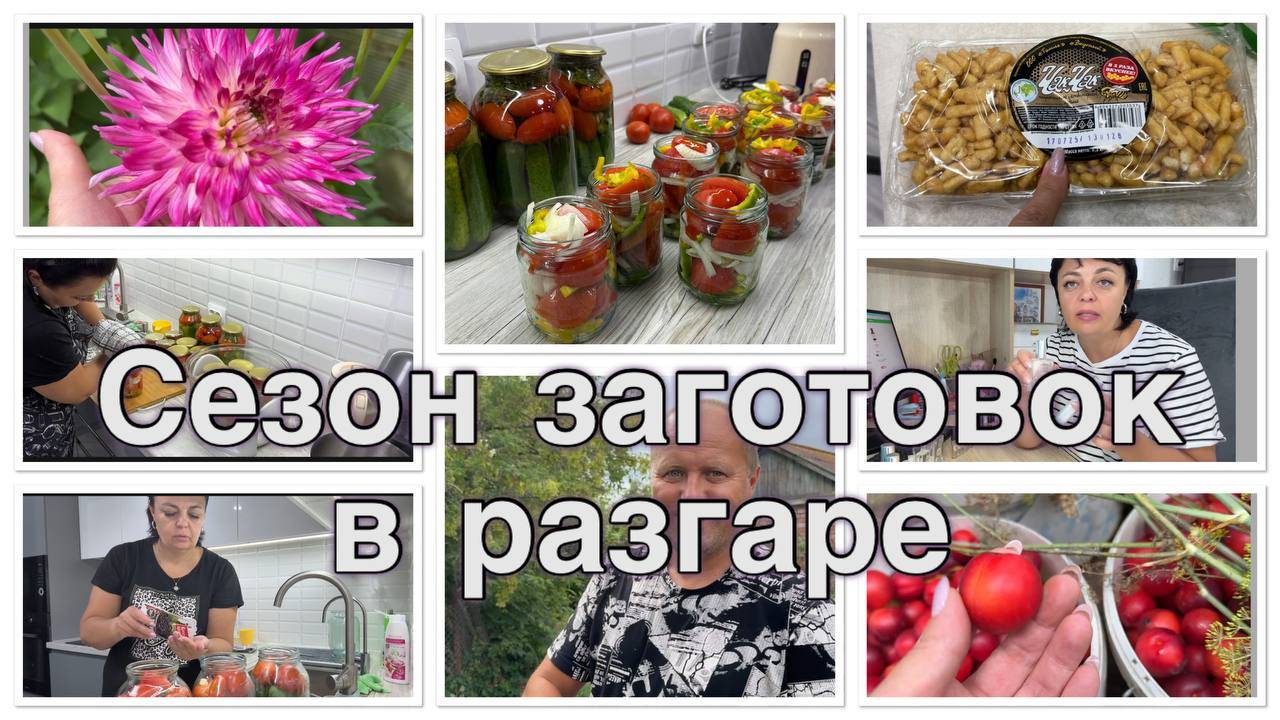 НЕ ДОДУМЫВАЙТЕ__собираем УРОЖАЙ__кручу НА КУХНЕ -помидоры _ПАЛЬЧИКИ ОБЛИЖЕШЬ_ (1)