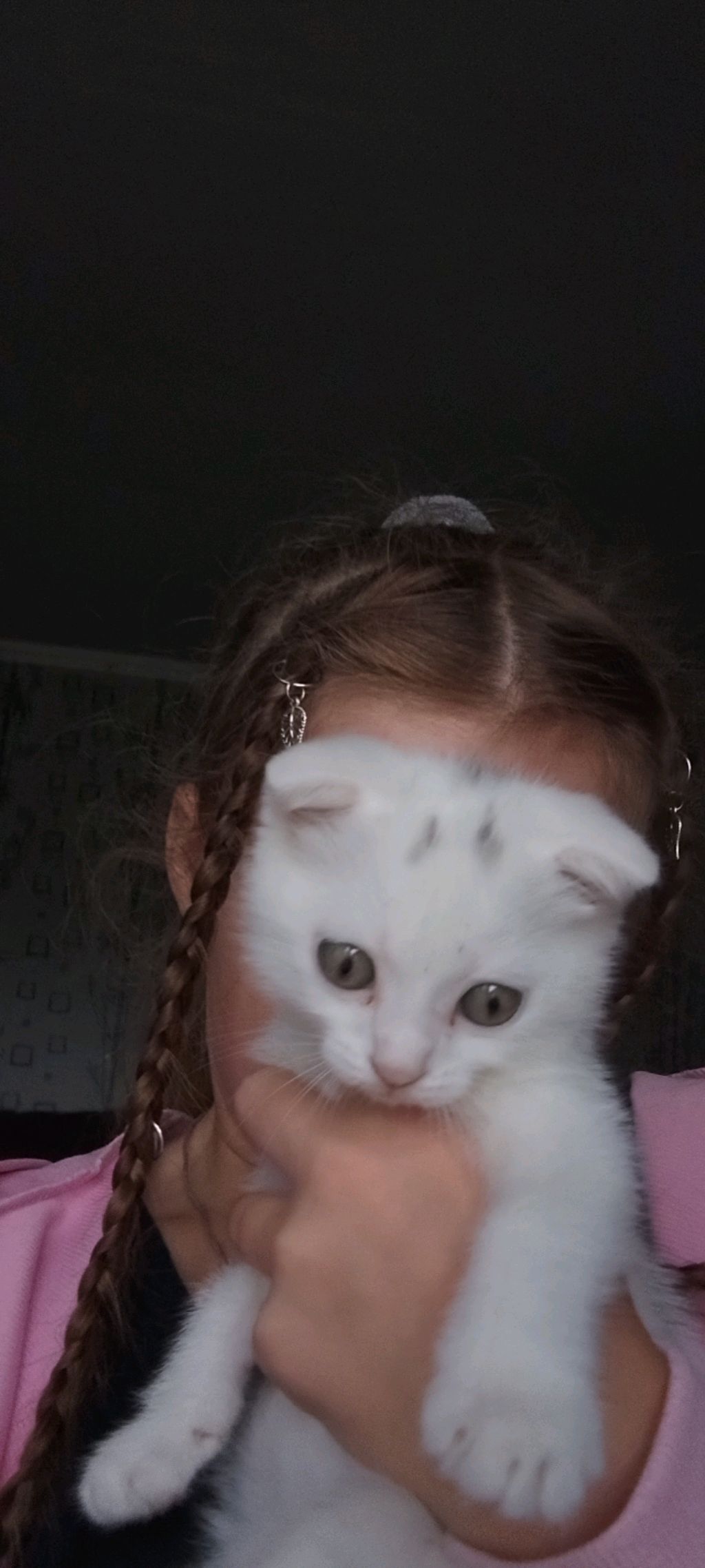зая