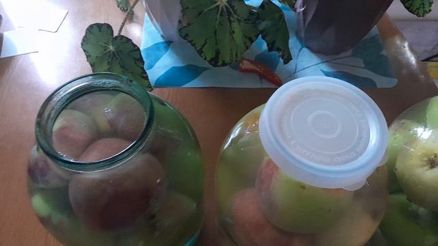 яблочки моченые