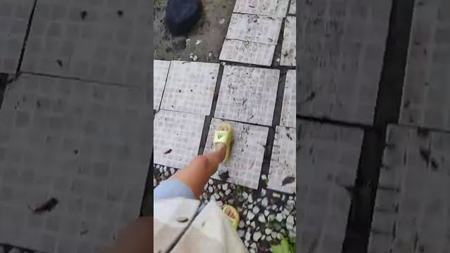 Оеот