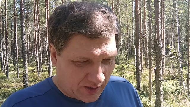 Что мешает человечеству подняться