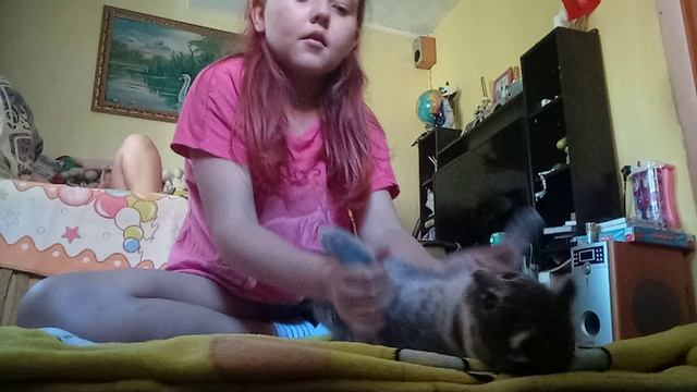 VID_20250814_181418.mp4