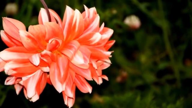 РАССЛАБЛЯЮЩАЯ МУЗЫКА ДЛЯ ДУШИ УСПОКАИВАЮЩАЯ МУЗЫКА ДЛЯ СНА