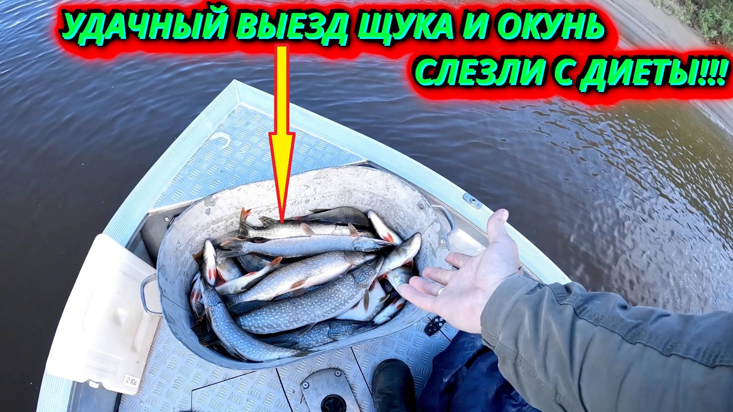 РЫБАЛКА НА ЩУКУ И ОКУНЯ СОЛНЕЧНО КЛЁВО И ТРАВМООПАСНО!!!