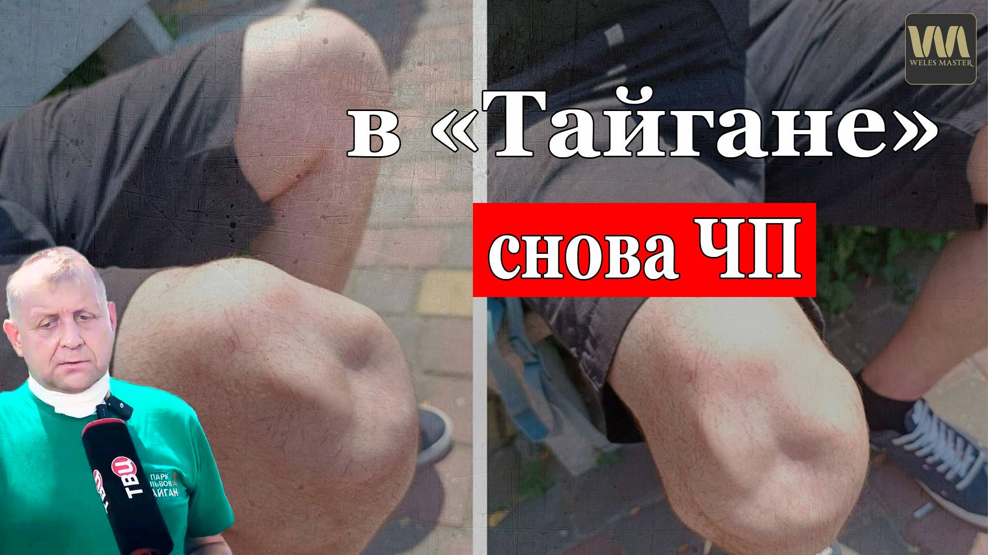 В "Парке львов "Тайган" снова ЧП, которое опять скрывает Алексагина и Зубков!
